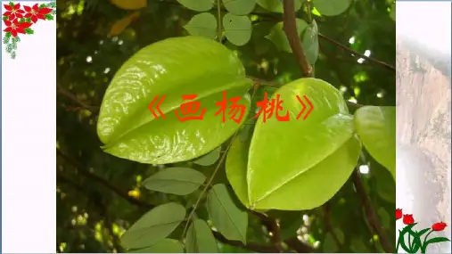  画杨桃 人教(部编版)(共张PPT)PPT 