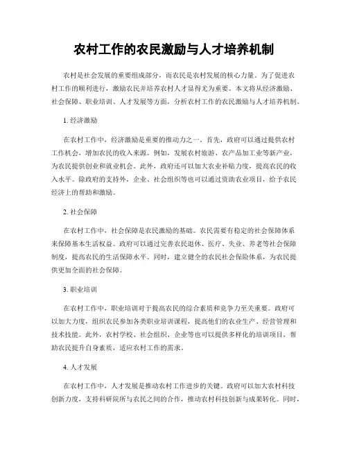 农村工作的农民激励与人才培养机制