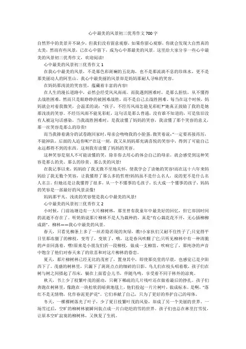 心中最美的风景初三优秀作文700字