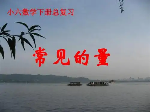 六年级下册总复习《常见的量》ppt课件