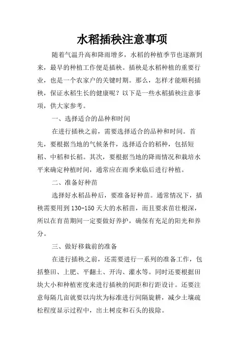 水稻插秧注意事项