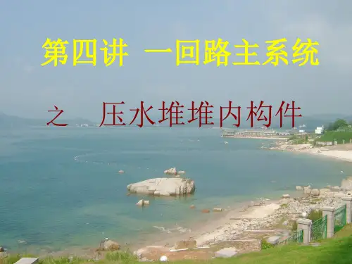 第四讲 压水堆本体(除堆芯)