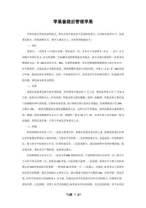 苹果套袋后管理苹果