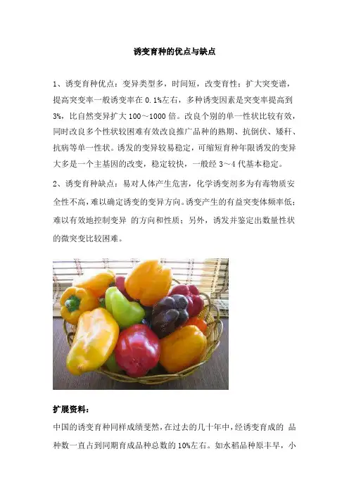 诱变育种的过程和优缺点