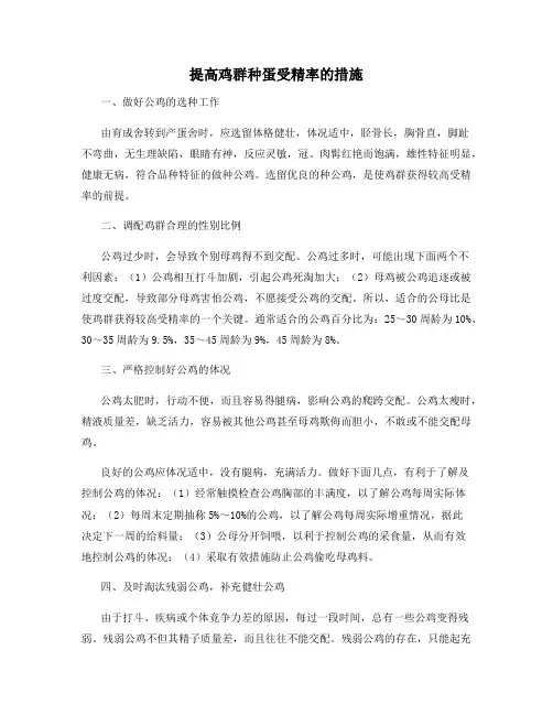 提高鸡群种蛋受精率的措施