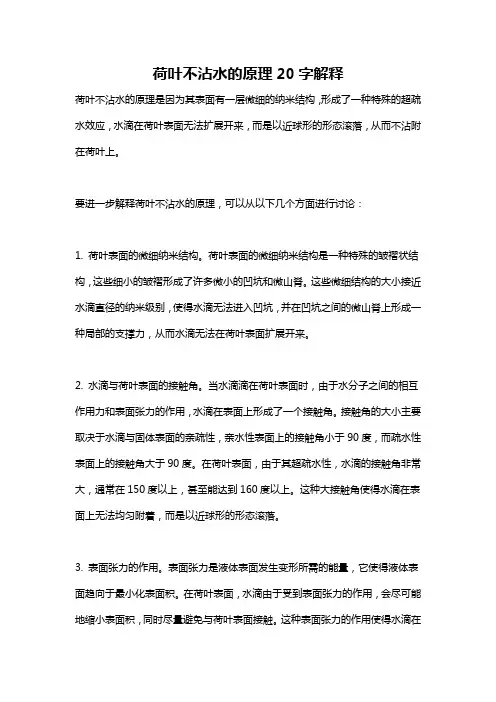 荷叶不沾水的原理20字解释