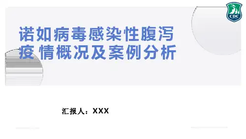 诺如病毒感染性腹泻案例分析及防控培训课件ppt