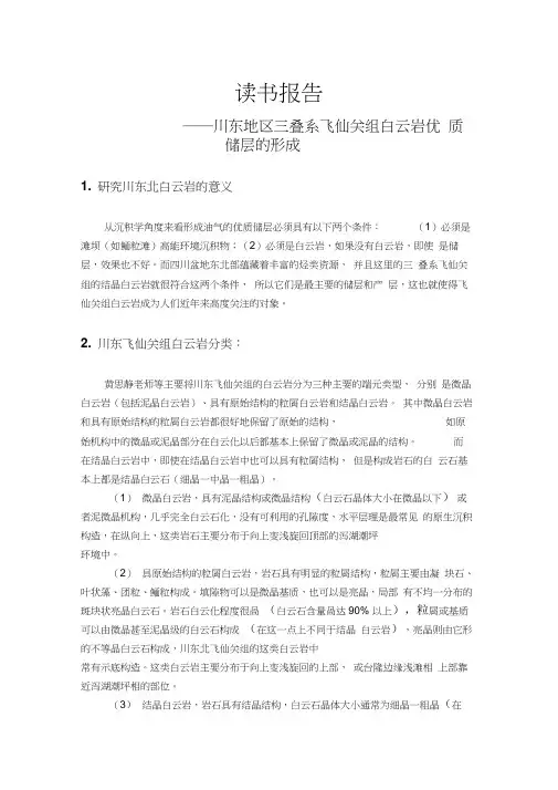 白云岩化机理