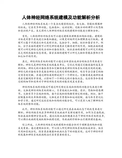 人体神经网络系统建模及功能解析分析