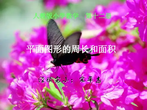 人教版六年级数学下册《总复习平面图形的周长和面积》精品PPT课件