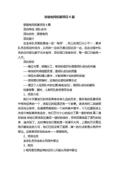 穿越电网拓展项目4篇