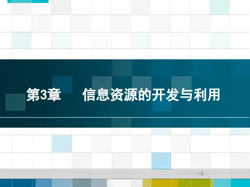 第3章 信息资源的开发与利用