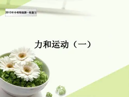 苏科版2013第一轮复习力和运动(一)