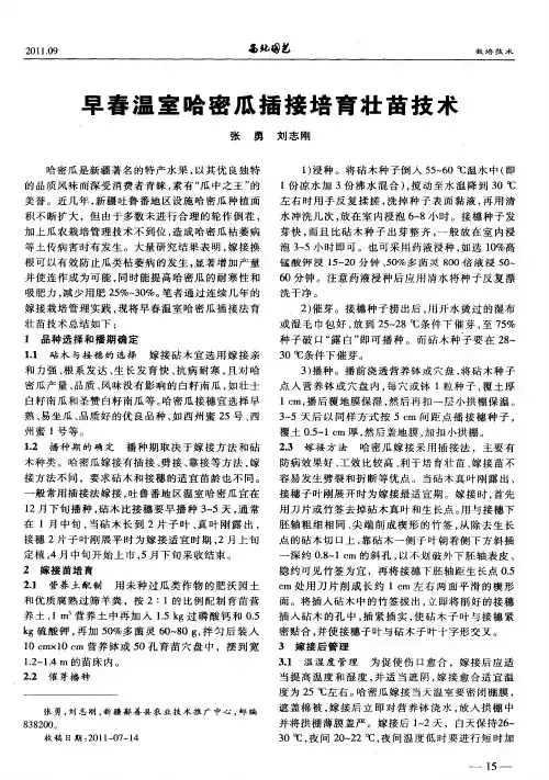 早春温室哈密瓜插接培育壮苗技术
