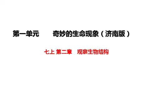 观察生物结构复习课件-济南版生物七年级上册