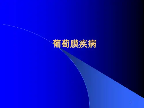 葡萄膜疾病PPT课件