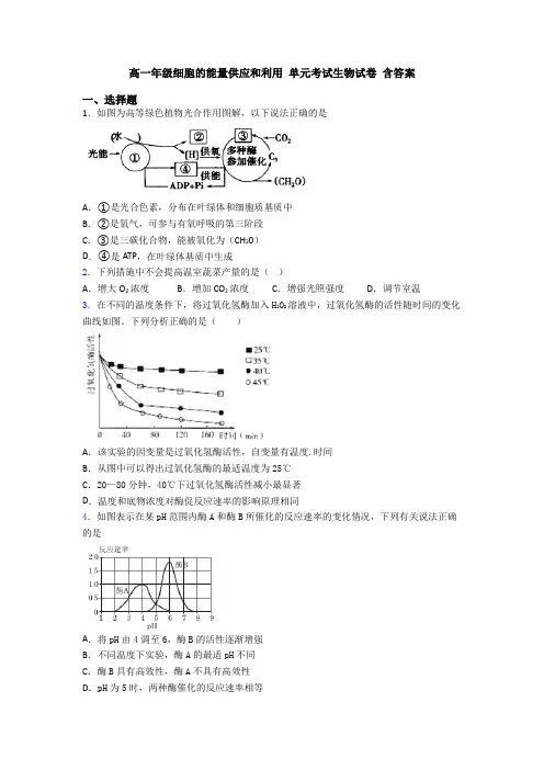 高一年级细胞的能量供应和利用 单元考试生物试卷 含答案