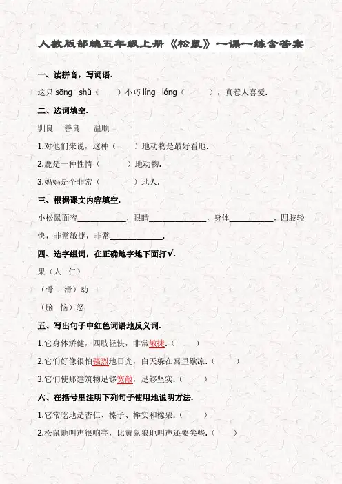 最新部编版五年级语文上册16 松鼠课文同步练习(含答案)