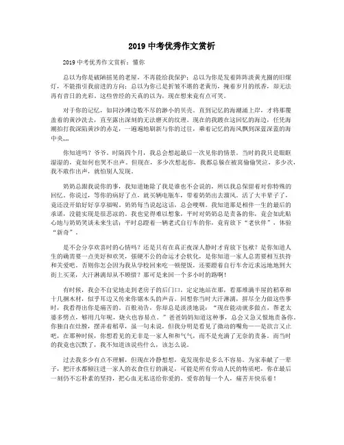 2019中考优秀作文赏析