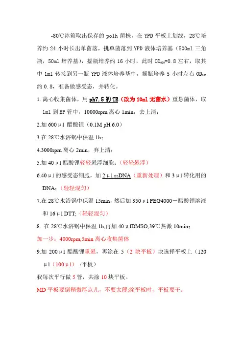 解脂耶氏酵母转化过程