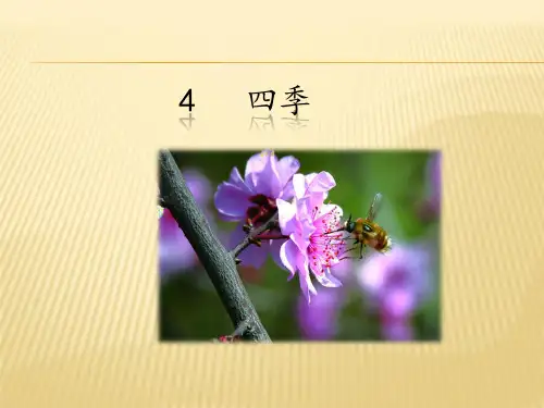 部编版一年级上4四季