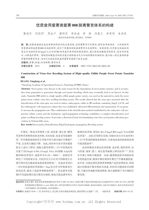 优质食用紫薯南紫薯008脱毒繁育体系的构建