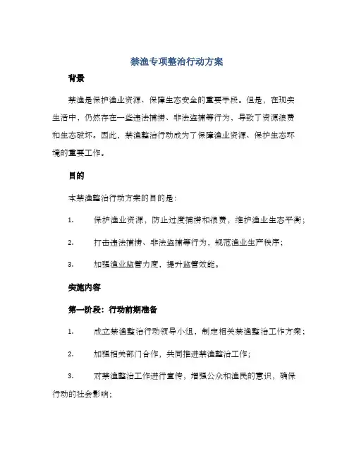 禁渔专项整治行动方案