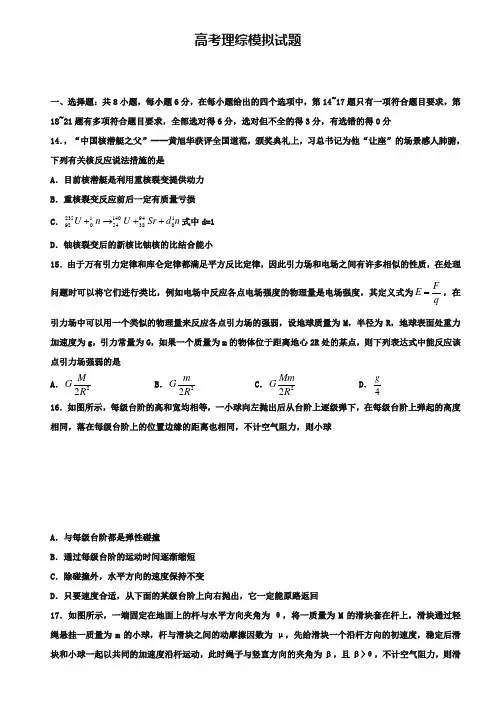 (高考理综模拟试题10份合集)娄底市重点中学2019届高考理综模拟试题试卷合集