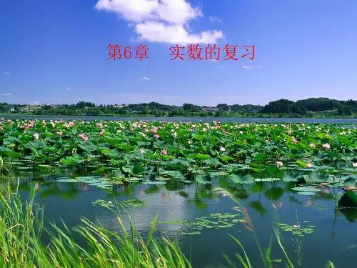 【新】人教版七年级数学下册第六章《 实数》复习公开课课件.ppt
