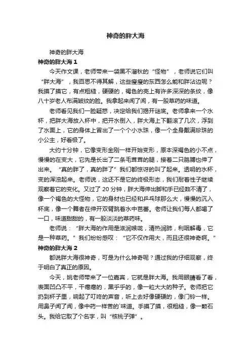 神奇的胖大海