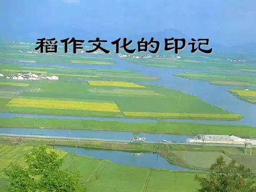稻作文化的印记课件