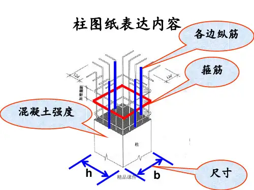 《柱配筋图讲解》