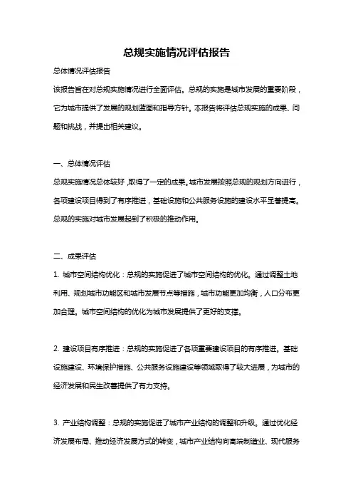 总规实施情况评估报告