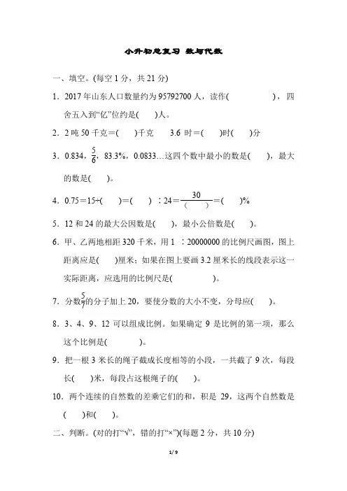 青岛版小学数学六年级下册小升初总复习试题：数与代数