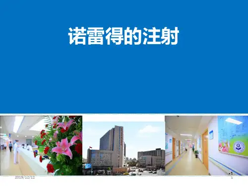 诺雷得的注射PPT参考幻灯片
