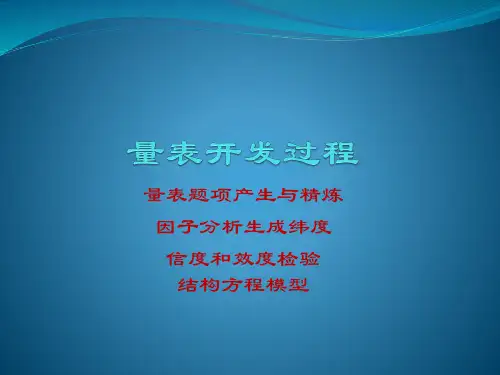 量表开发过程