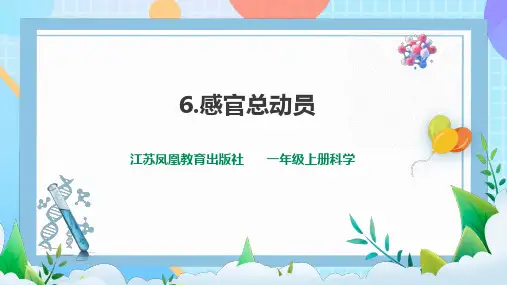 2024苏教版科学一年级上册6《感官总动员》课件