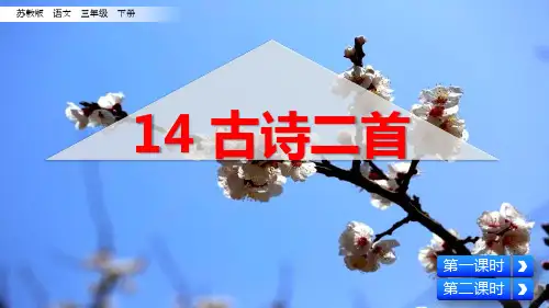 部编苏教版三年级语文下册第14课《古诗二首》优质课件