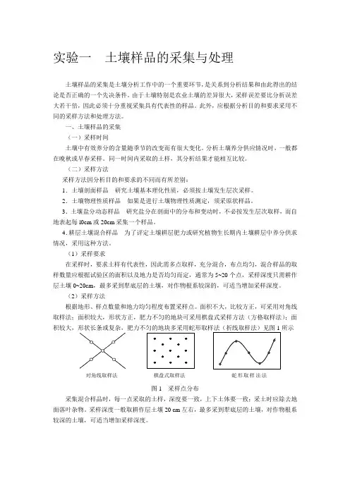 土壤样品采集与处理实验报告