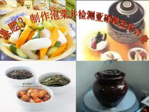 MY泡菜的腌制和亚硝酸盐的测定