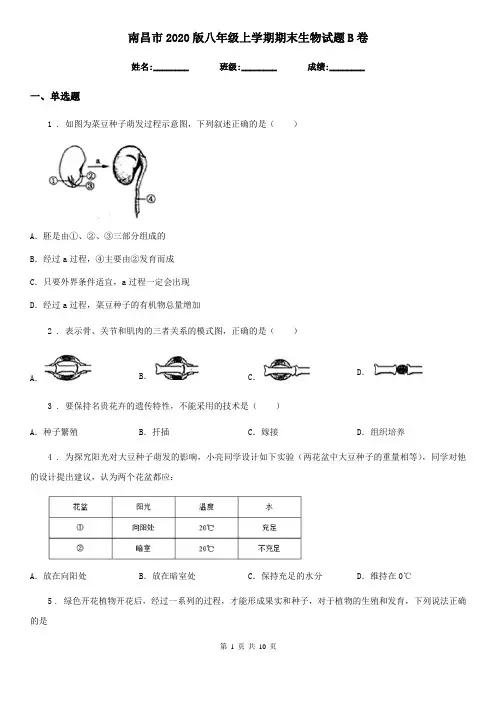 南昌市2020版八年级上学期期末生物试题B卷-2