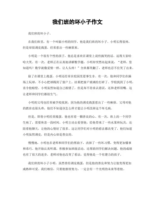 我们班的坏小子作文