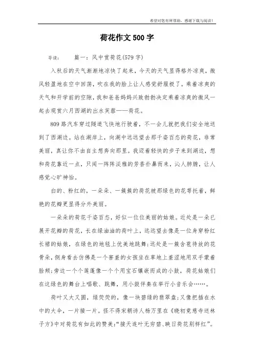 荷花作文500字_1