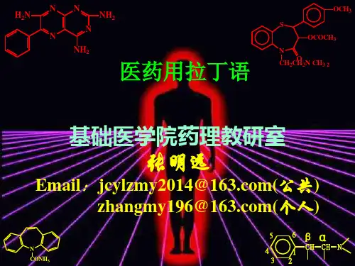 拉丁文命名法