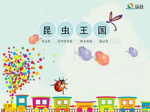 6《昆虫王国》教学课件