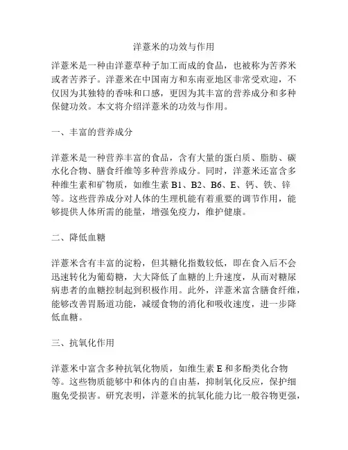 洋薏米的功效与作用