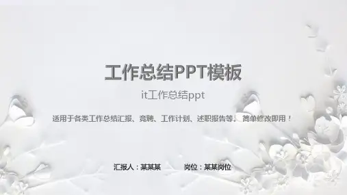 完美版PPT-it工作总结ppt