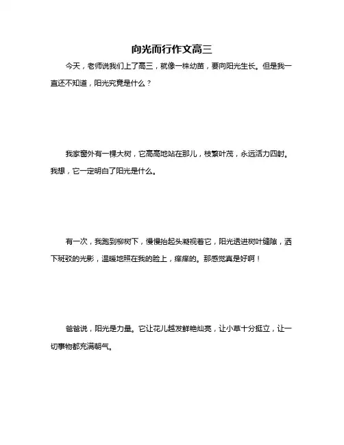 向光而行作文高三