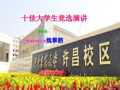 校园十佳大学生竞选ppt