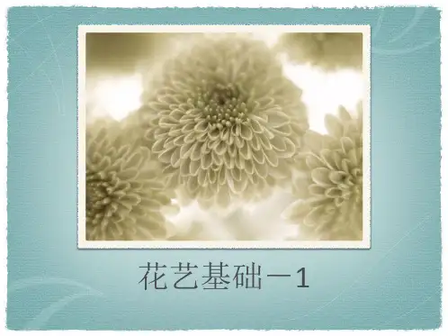 花艺基础-1